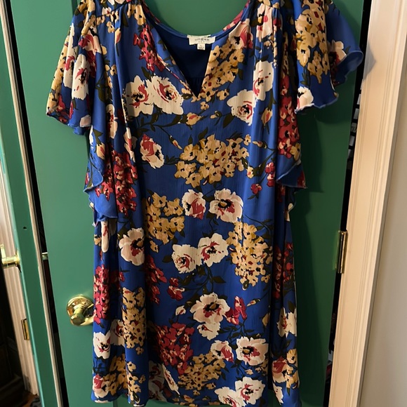 Umgee Tops - Beautiful Umgee top with cap sleeves. Lined.